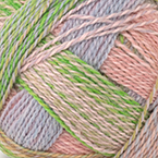 *New* 2730 - Nautilus