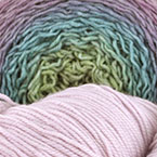 Lady Slipper Sulky Moon